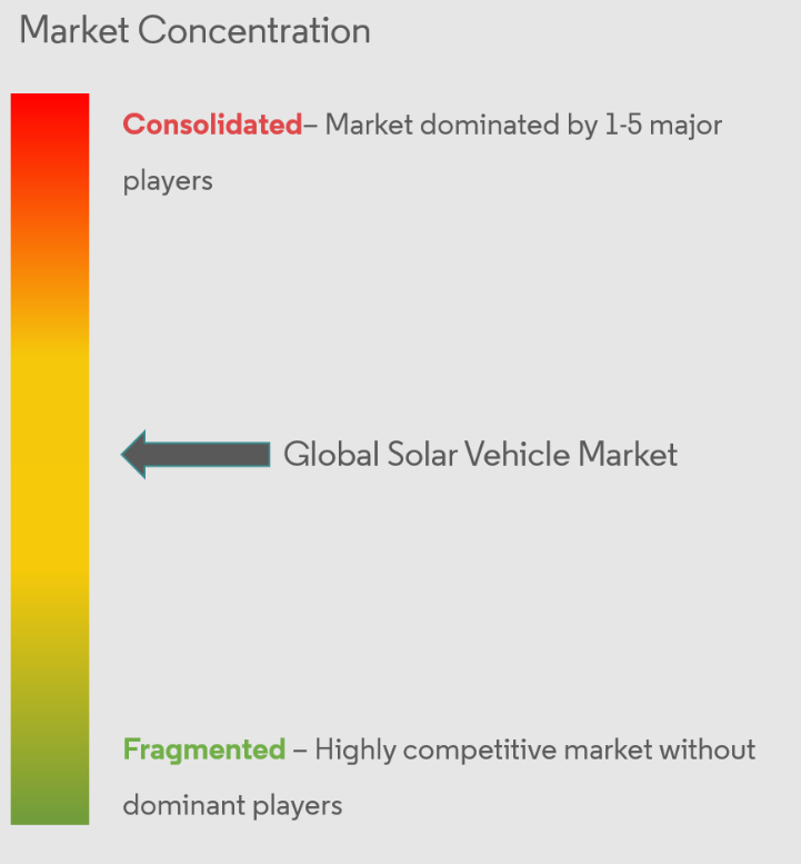 Solar Vehicle Market Concentration